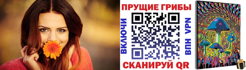 Псилоцибиновые грибы Psilocybe  купить наркотик  Отрадная 