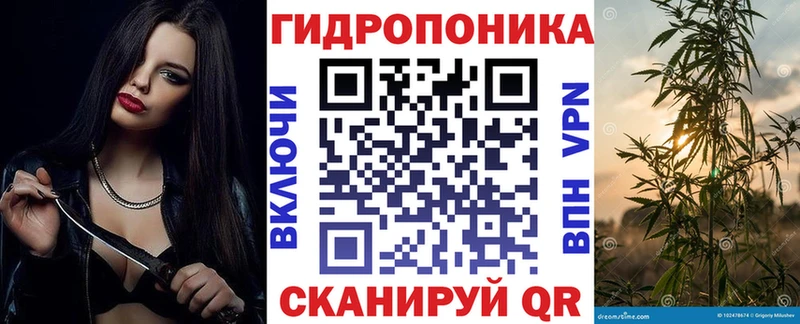 МАРИХУАНА семена  блэк спрут как зайти  Отрадная 